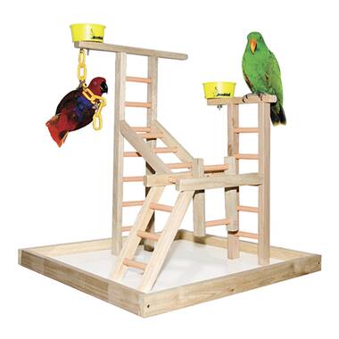 Budgie gym discount